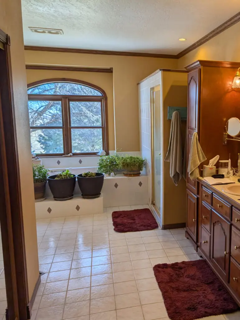 Old outdated bathroom in need of a remodel